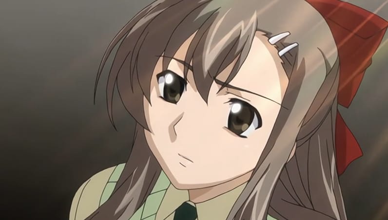 1141_compressed.jpg