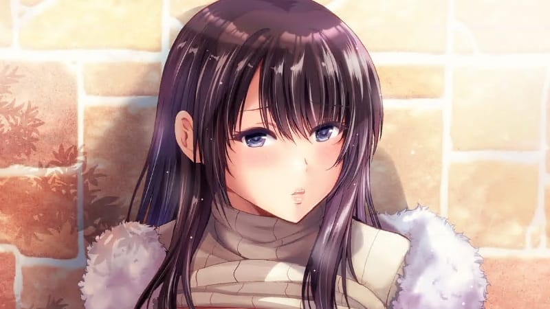 2714_compressed.jpg
